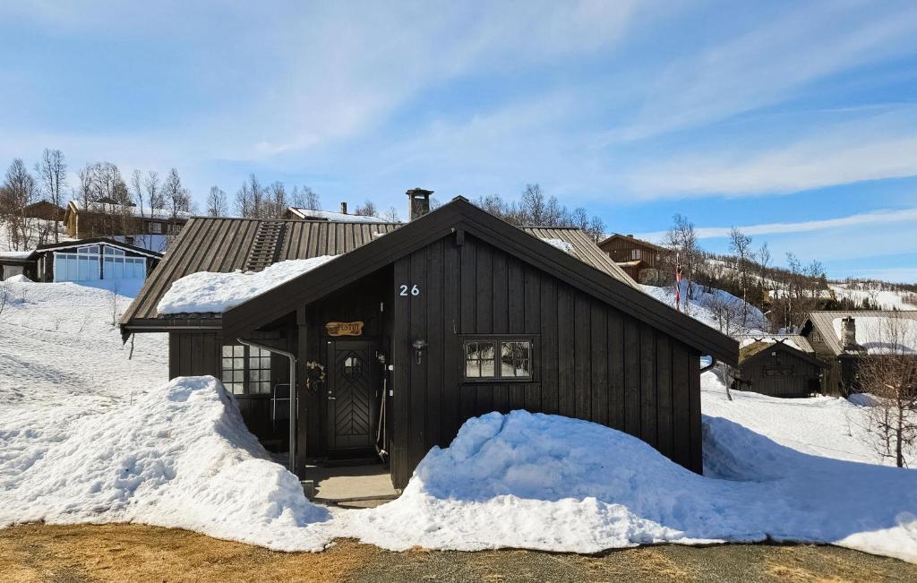 Gorgeous Home In Rjukan With Kitchen om vinteren