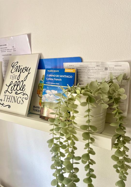 Céntrico y acogedor en Burgos - 11