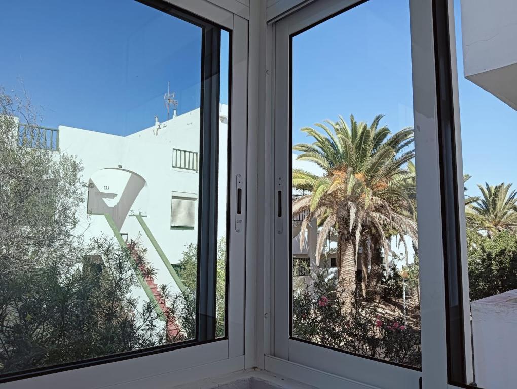 a window with a view of a palm tree at FUERTE CAMPILLOS in Costa de Antigua
