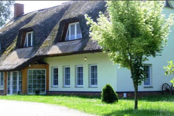 a house with a thatched roof and a tree at Ferienhof am Fließ in Kolonie