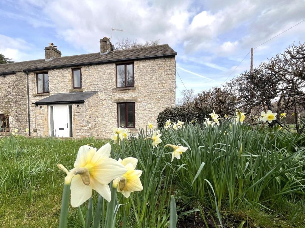 a field of daffodils in front of a house at 2 Bed in Bradwell 94552 in Bradwell