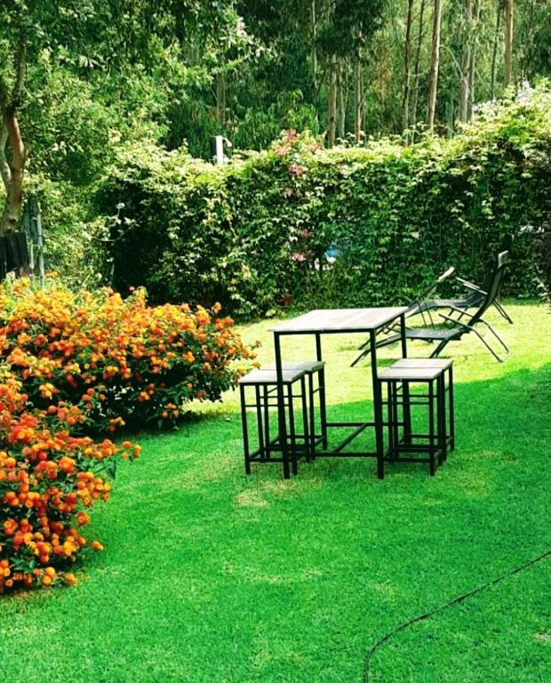 A garden outside O IGREXARIO