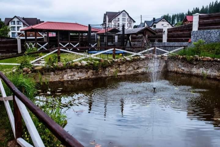 Příroda nedaleko hotelu