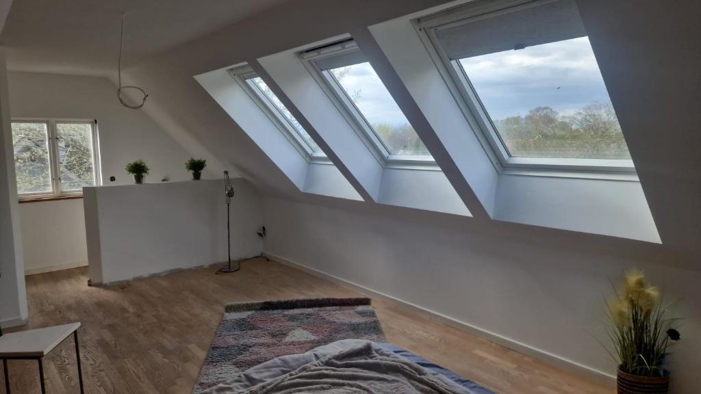 an attic room with three skylights at Toarp bbp in Oxie