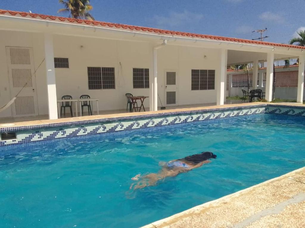 un chien nageant dans une piscine à côté d'une maison dans l'établissement Casa Nahomy, à Chichiriviche