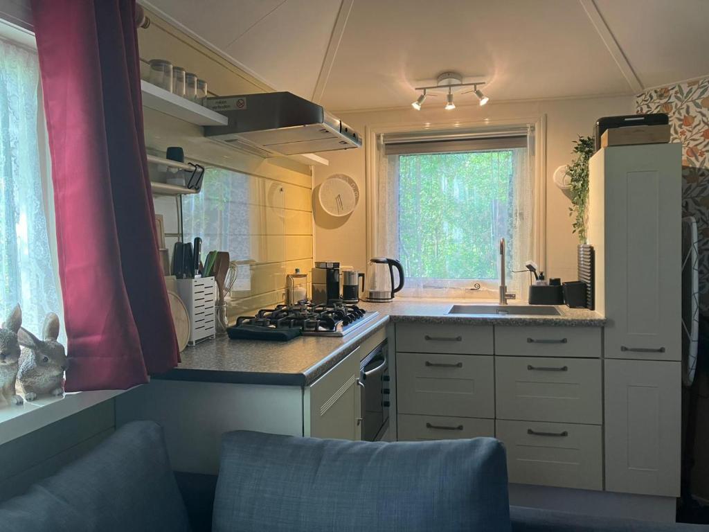 Photo de la galerie de l'établissement B en B Op Steendam, Tuinkamer onder de appelboom, à Steendam