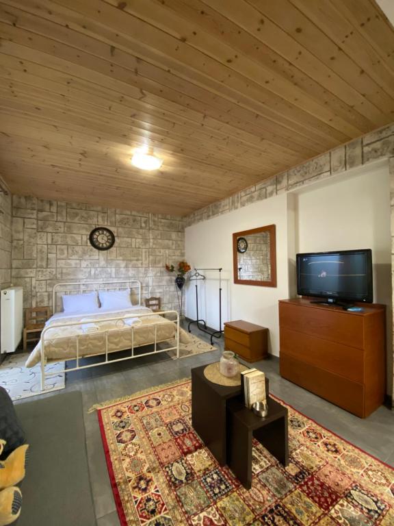 Schlafzimmer mit einem Bett und einem Flachbild-TV in der Unterkunft D&M STUDIO ΡΙΟ ΠΑΤΡΑ in Patras