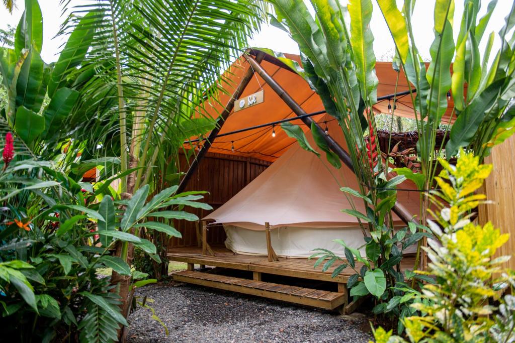 烏維塔的住宿－Seren Glamping，种植了植物的花园中的橙色帐篷