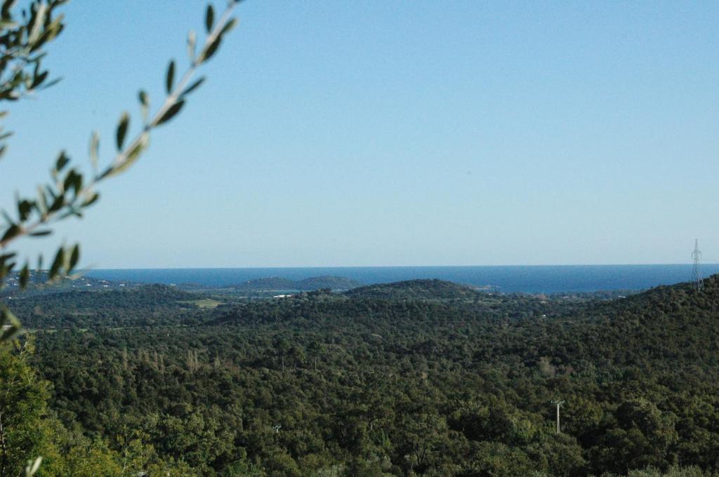 - une vue depuis le sommet d'une colline plantée d'arbres dans l'établissement VILLA SENENITA, à Porto-Vecchio