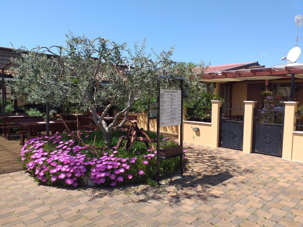 a flower garden with a tree and purple flowers at Monte studio app 3 in Umag
