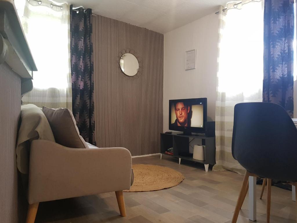 sala de estar con sofá y TV en Appartement en entier, en Saint-Junien