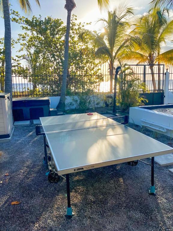 Stolní tenis v ubytování Kay Alice - Beachfront Villa nebo okolí