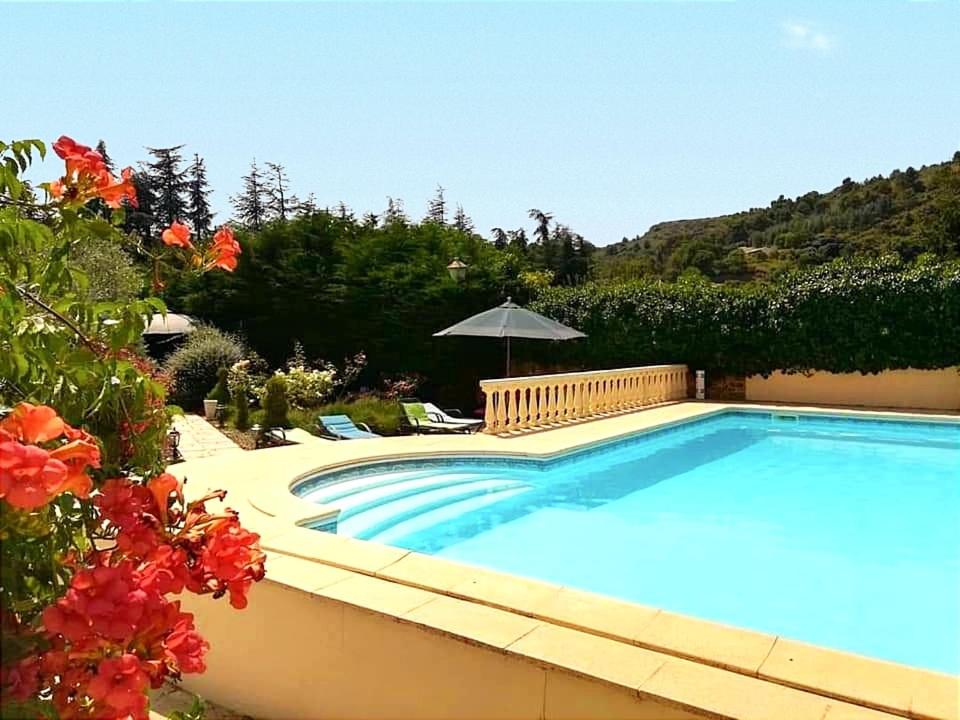 una piscina con sombrilla y algunas flores en Villa Angel - SPA, en Caunes-Minervois