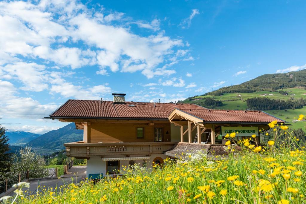 Příroda nedaleko apartmánu