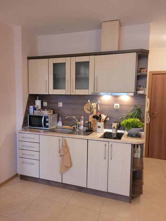 Kuchyň nebo kuchyňský kout v ubytování ALMA DEL MAR - Miadia Grand Resort, Aheloy