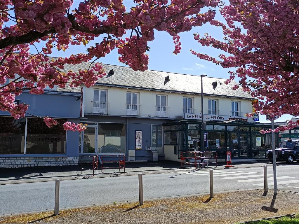 Le Relais Du Velors في Beaumont-en-Véron: مبنى على شارع به ورد وردي