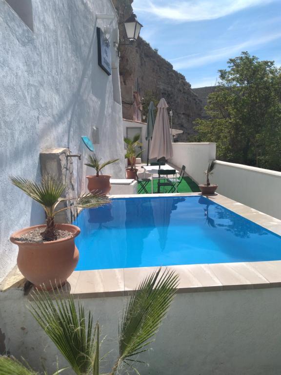 una piscina en el techo de una casa con plantas en COVES DEl XUQUER, en Jorquera