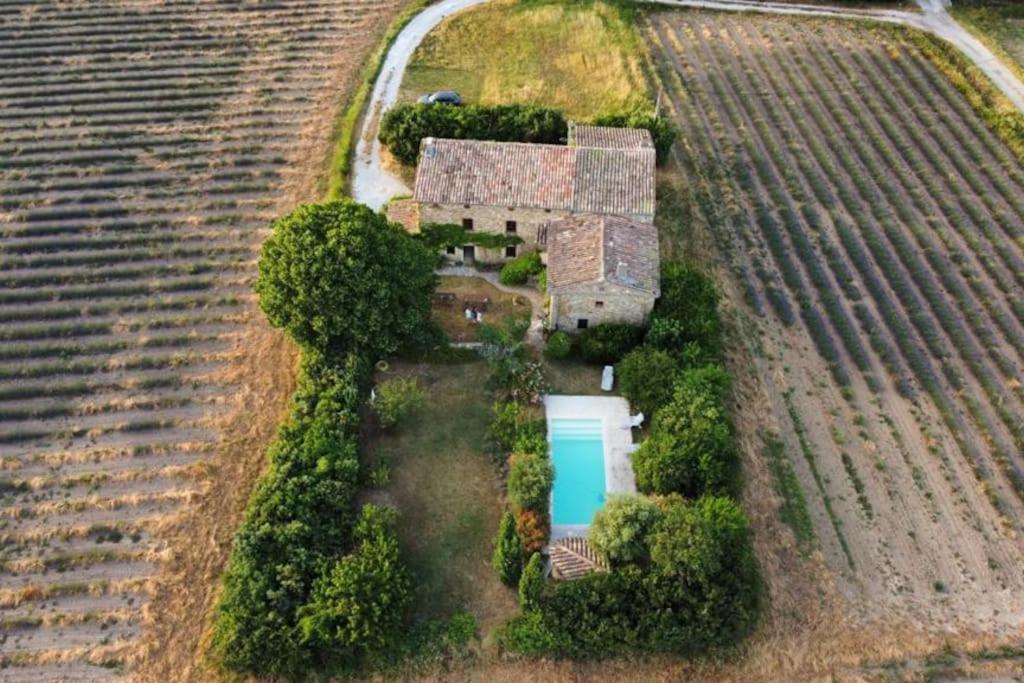 Pemandangan dari udara bagi Mas provençal avec piscine