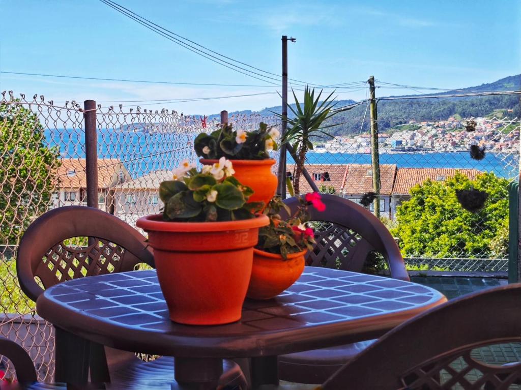 two potted plants sitting on top of a table at Casa Fenteira in Poio