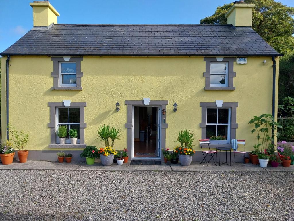 a yellow house with potted plants in front of it at Felicity Cottage in Kiltegan