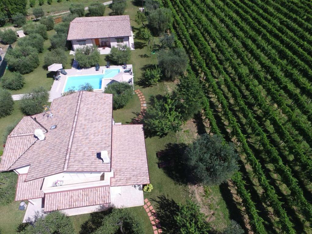 - une vue aérienne sur une maison avec une piscine et un vignoble dans l'établissement Villa Torri, à Torano Nuovo