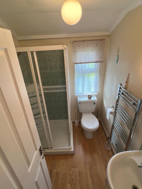 a bathroom with a toilet and a shower and a sink at Lovely spacious lodge on Trimingham house caravan park, near Cromer and Mundesley in Trimingham