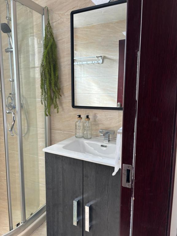 a bathroom with a sink and a mirror at Bienvenue au centre-ville de Libreville in Libreville