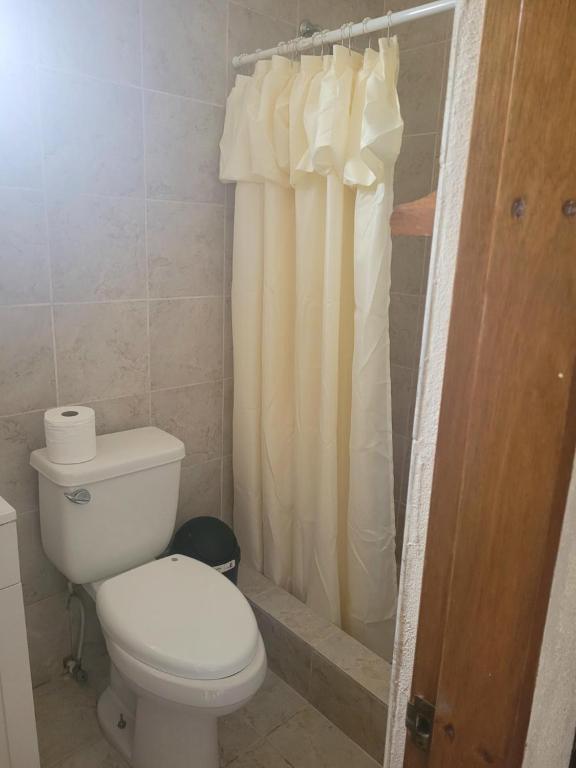 a bathroom with a toilet and a shower curtain at Impeccable Comfortable 1-Bed Apartment in Road Town