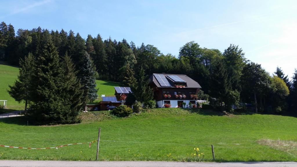 una casa en la cima de una colina con árboles en Gästehaus Maria Brinkhus, en Schonach