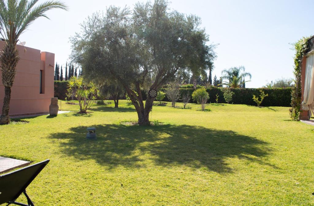 un árbol en medio de un patio verde en Villa Soraya/Noor Hotel & Spa en Marrakech