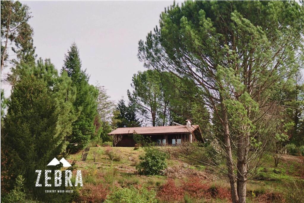 una casa en la cima de una colina con árboles en Zebra Country Wood House, en Arcos de Valdevez
