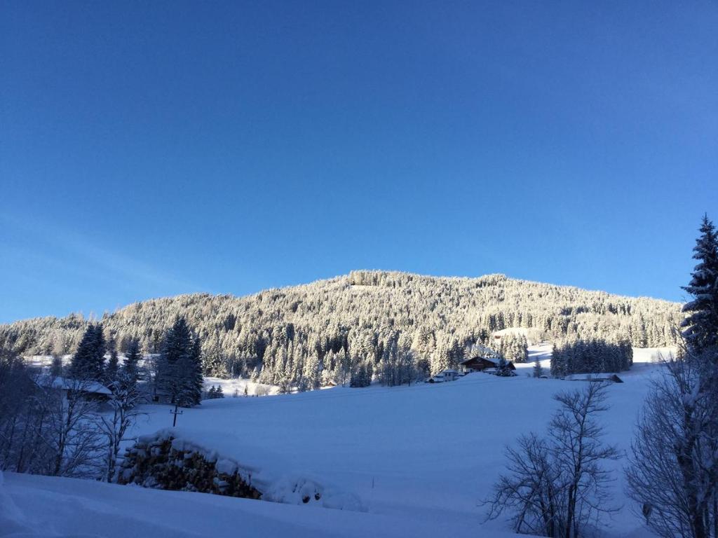 Príroda v okolí apartmánu