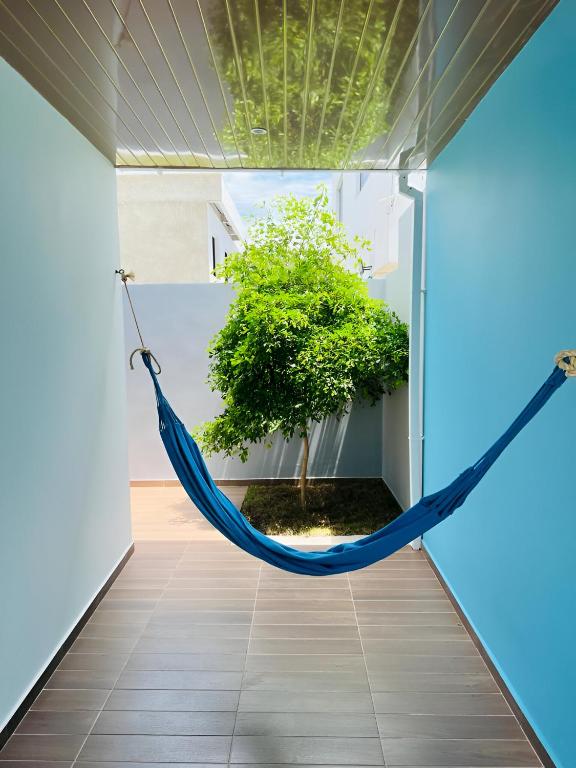Zahrada ubytování AzulRest Casa de Verano