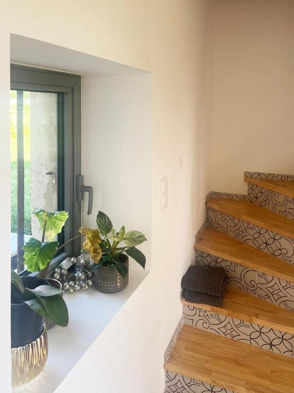 Fotografie z fotogalerie ubytování Le Petit Cabanon Provençal v destinaci Mane