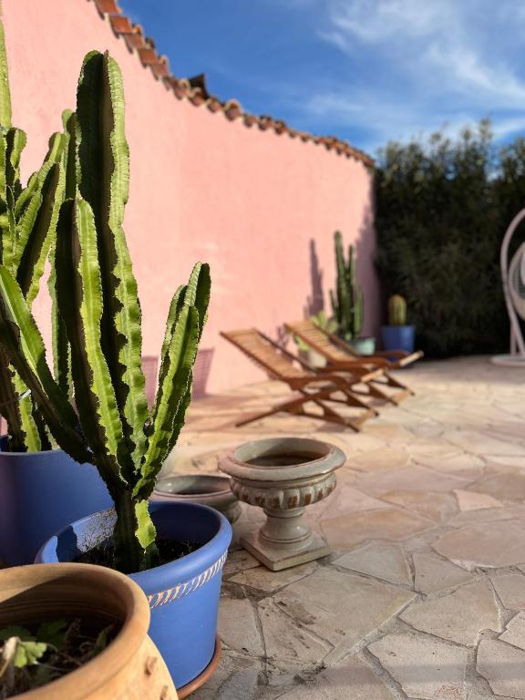 un cactus dans un pot bleu sur une terrasse dans l'établissement Appartement dans villa, parking, accès piscine, au Plan-de-la-Tour