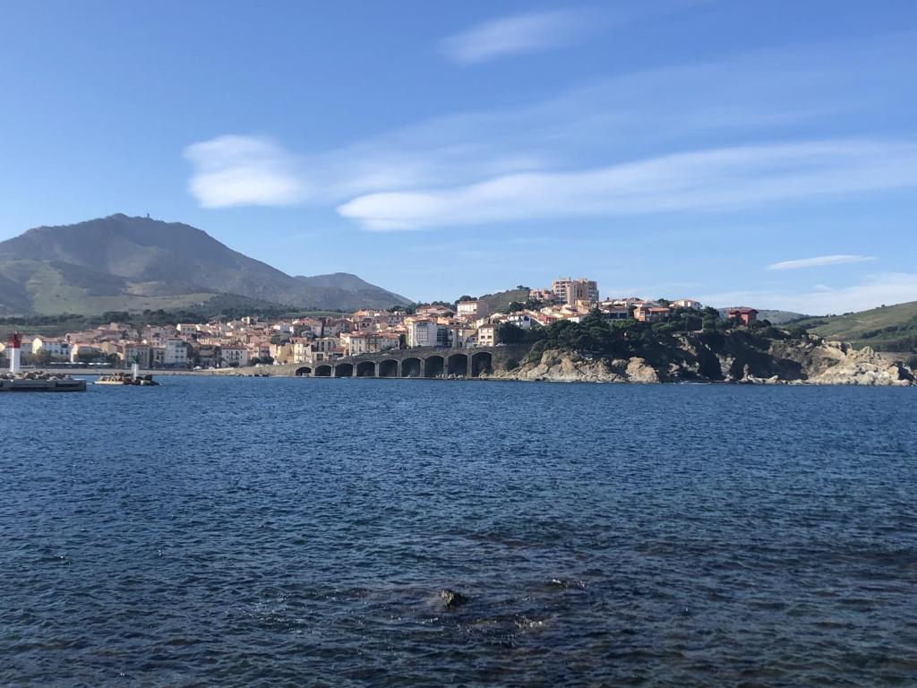 Une grande masse d'eau avec une ville en arrière-plan dans l'établissement LOCATION BANYULS SUR MER les Terrasses du centre appt 4 à 6 personnes, à Banyuls-sur-Mer