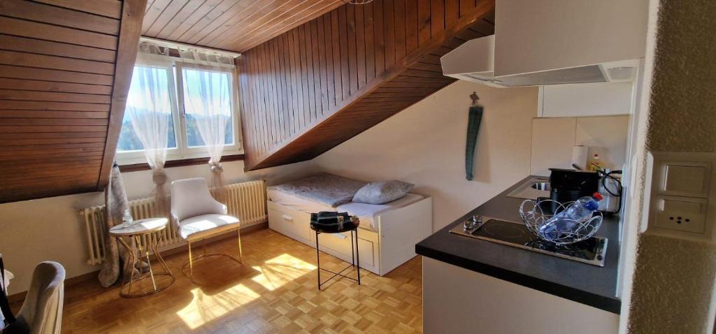 Cette petite chambre comprend une petite cuisine avec un canapé. dans l'établissement Urban Studio City, à Fribourg