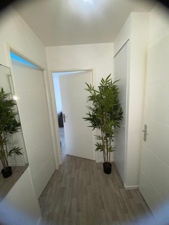 un couloir avec deux plantes en pot et une porte dans l'établissement Gavril, à Cergy