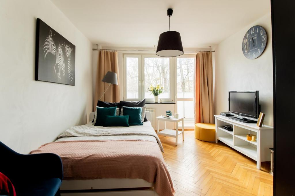 a bedroom with a bed and a television in it at PiotrApartments II in Warsaw