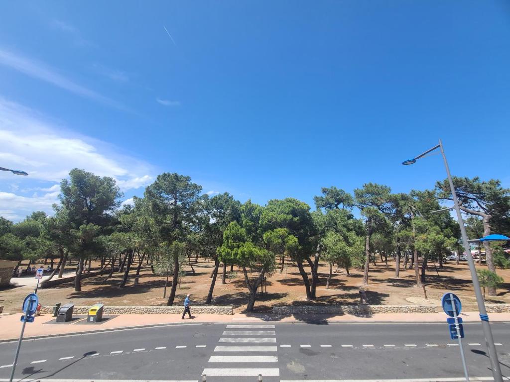 une rue vide bordée d'arbres dans l'établissement Appartement Argelès-sur-Mer, 2 pièces, 4 personnes - FR-1-309-396, à Argelès-sur-Mer