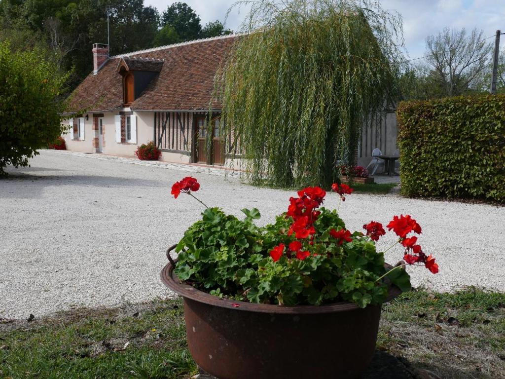 ein Topf voller roter Blumen vor einem Haus in der Unterkunft Gîte Cour-Cheverny, 2 pièces, 2 personnes - FR-1-491-357 in Cour-Cheverny