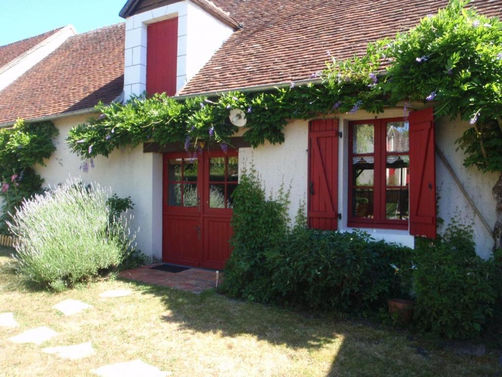 Gîte champêtre proche du Zooparc de Beauval, jardin privatif, vélos fournis, animaux acceptés - FR-1-491-405
