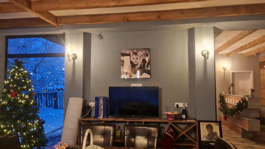 TV a/nebo společenská místnost v ubytování Mestia Roots