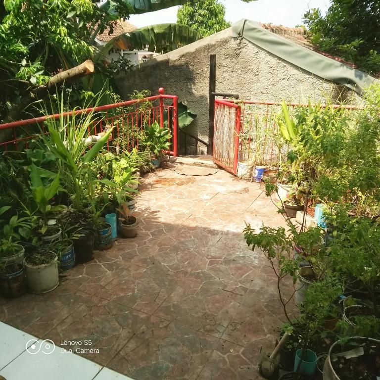 a garden with a red gate and a bunch of plants at PM Family Room in Jakarta