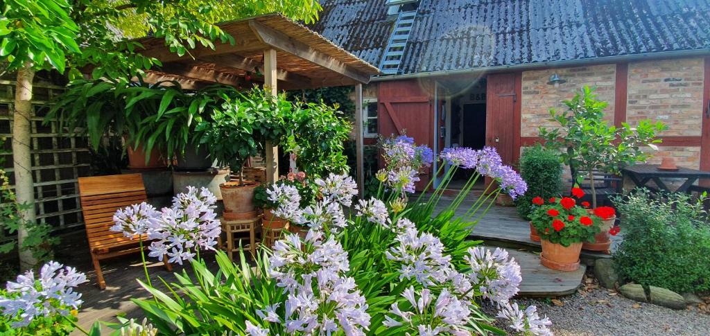Zahrada ubytování Aplagårdens vingård