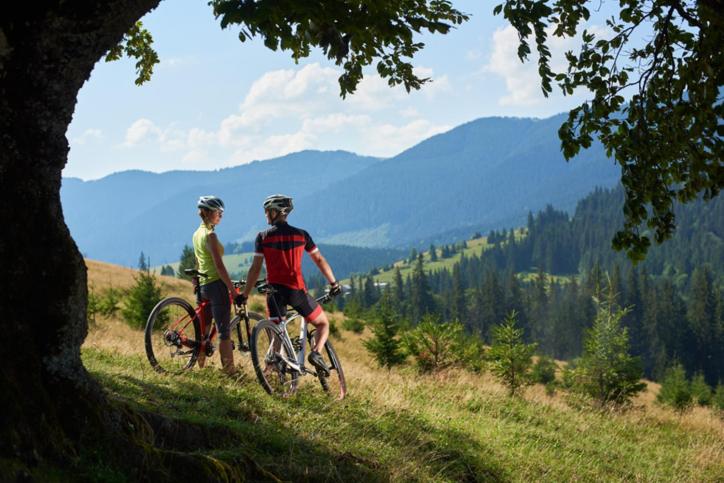 Majutusasutuse Mountain Suite A10 külastajad