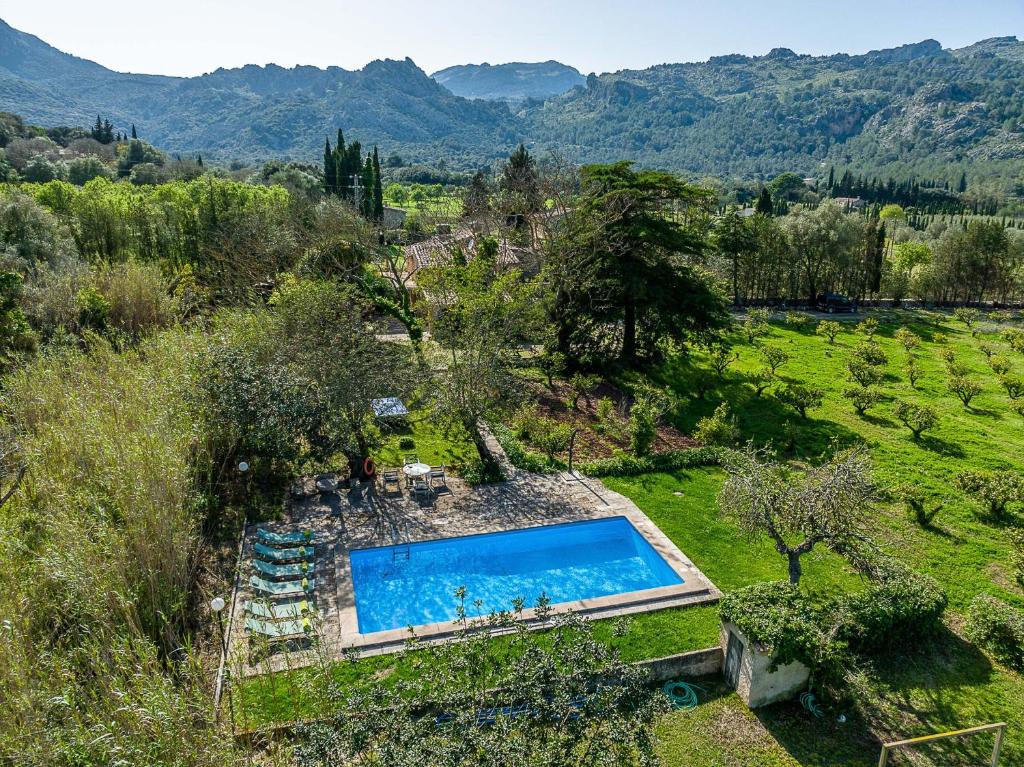 an overhead view of a swimming pool in a garden at El Rafalet in Pollença