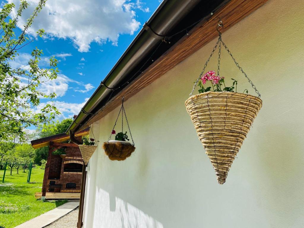 Zahrada ubytování Serenity Garden Villa