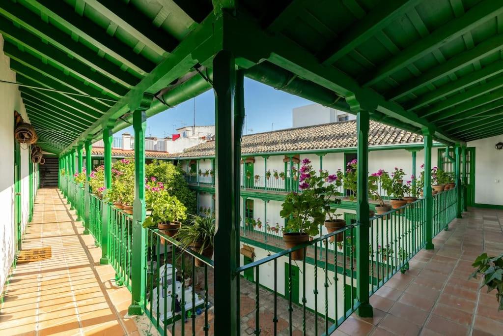 Alcazares Central Suite by Valcambre