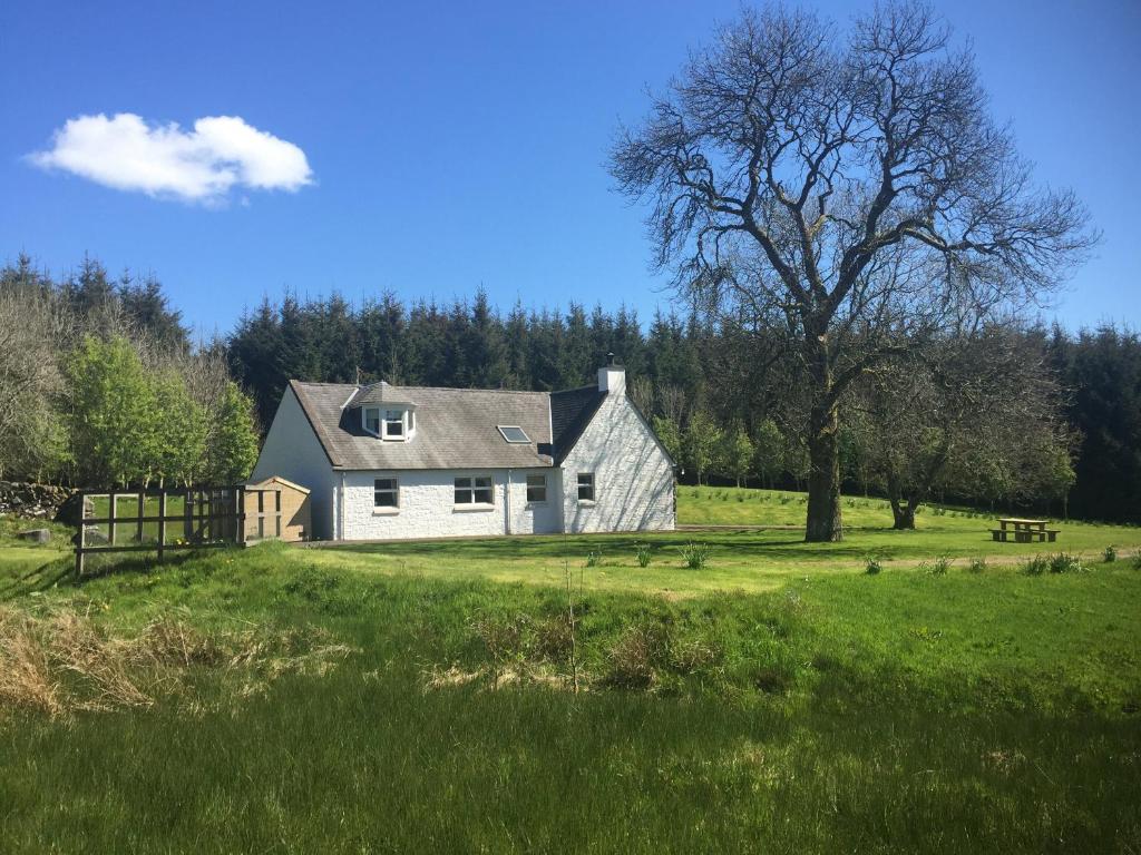 a white house in a field with a tree at Glen View in Dumfries